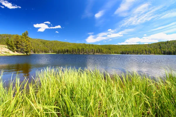 Sibley lago bighorn national forest — Foto Stock