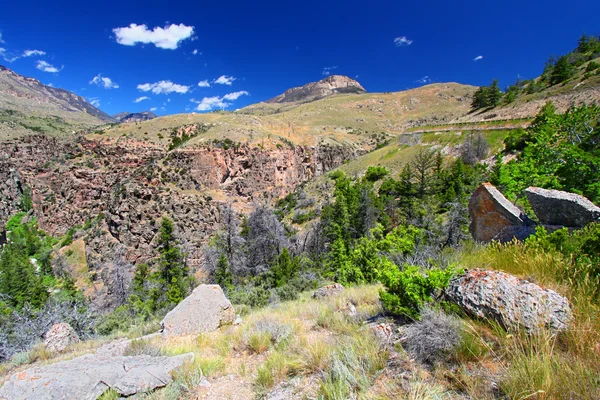 Paisaje de montaña resistente de Wyoming —  Fotos de Stock