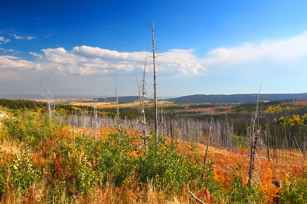 Montana podzimní krajina — Stock fotografie