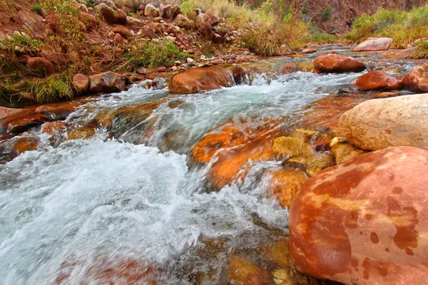 Bright Angel Creek Gran Cañón — Foto de Stock