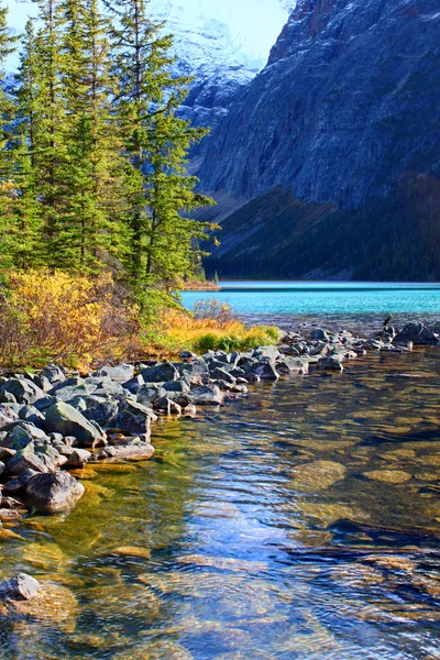 Cavell Lake Jasper National Park — Stock Photo, Image