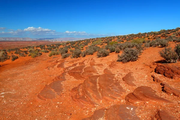 Suchych krajobrazu arizona — Zdjęcie stockowe