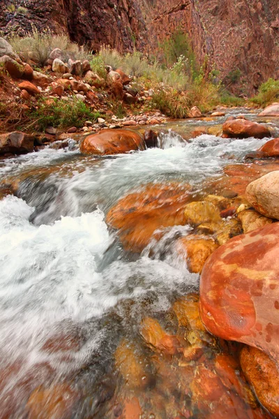 Bright Angel Creek Gran Cañón — Foto de Stock
