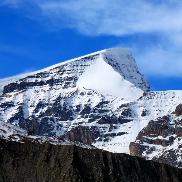 Mount Kitchener Jasper National Park — Stock Photo, Image