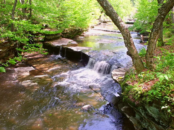 Koekepan creek watervallen in wisconsin — Stockfoto