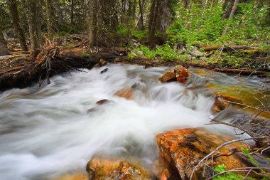 katır creek Wyoming ıkınma