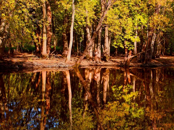 Księcia punkt przyrody okolicy wisconsin — Zdjęcie stockowe