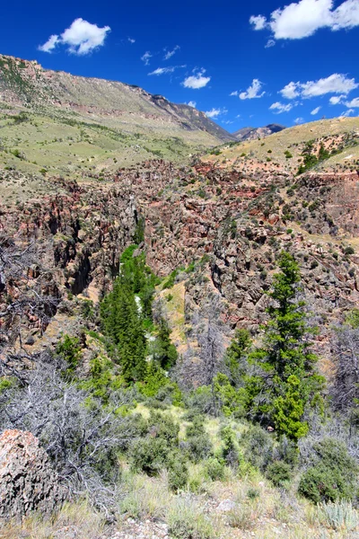 Robusztus hegyi táj, a Wyoming — Stock Fotó