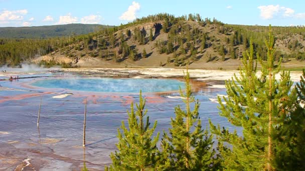 Grand πρισματική άνοιξη yellowstone — Αρχείο Βίντεο