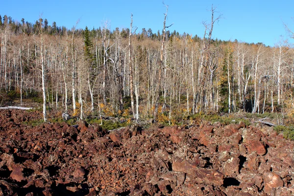 Campo de lava forestal nacional Dixie — Foto de Stock