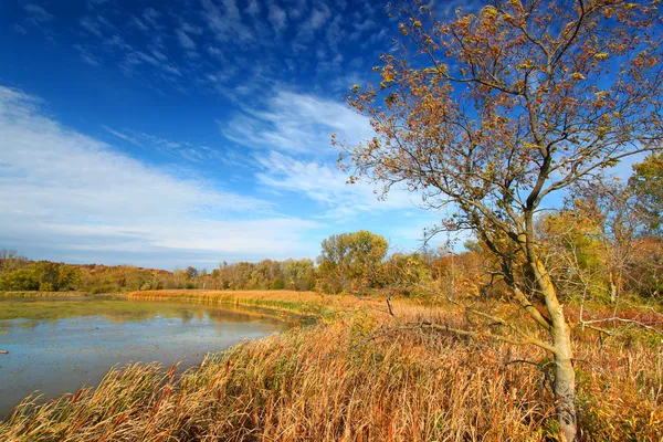 Prorazit jezero večerní slunce illinois — Stock fotografie