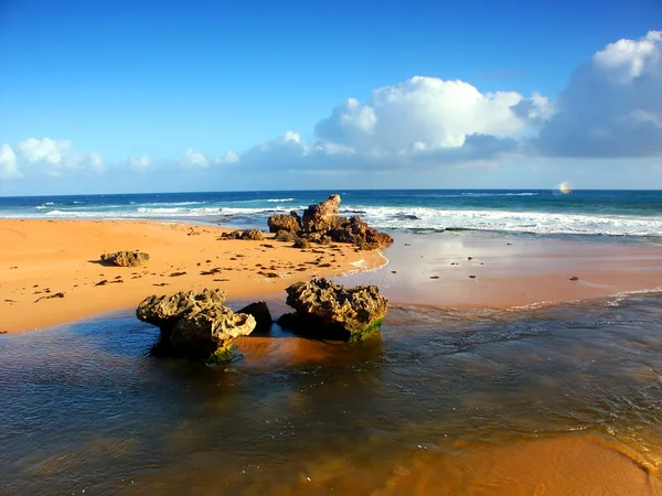 Hopkins river mond Australië — Stockfoto