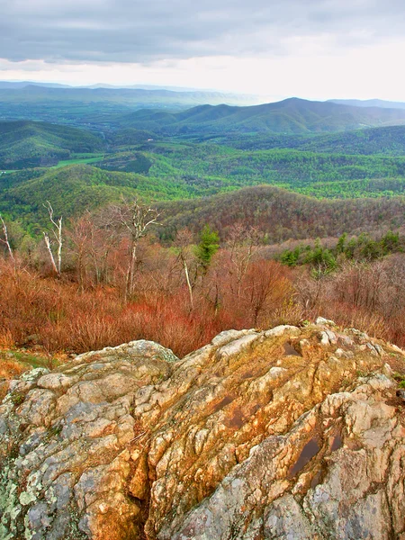 Parque Nacional Shenandoah da Virgínia — Fotografia de Stock