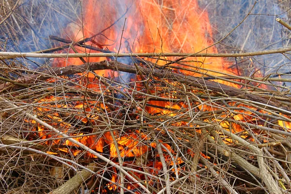 Brush Fire in Illinois — Stock Photo, Image