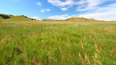 adaçayı creek otlak - badlands Ulusal Parkı