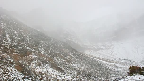 Monte Edith Cavell Tormenta de nieve — Vídeo de stock