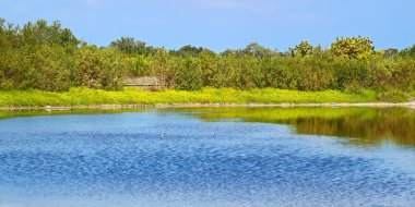 Eko gölet everglades Ulusal Parkı