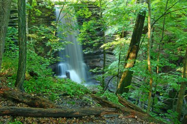 matthiessen state park şelale Illinois