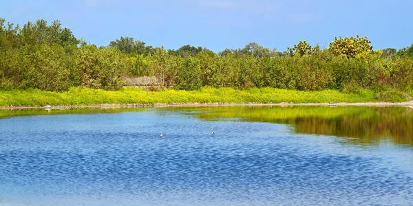 생태 연못에 버 글레이즈 국립 공원 — 스톡 사진