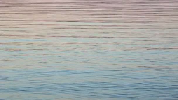 Jackson Lake Ripples en Wyoming — Vídeos de Stock