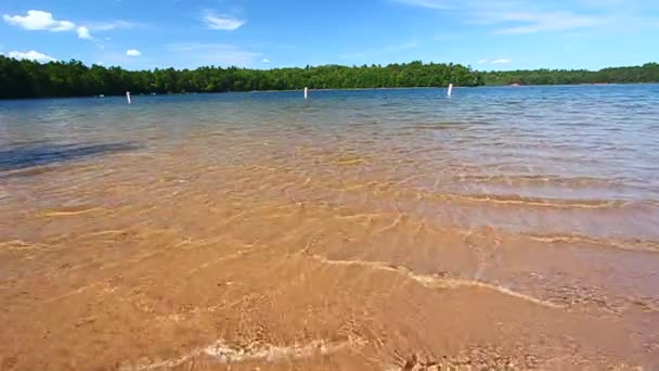 Buffalo Lake Northwoods Wisconsin — Stockvideo