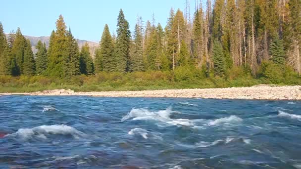 Flathead řeky nedaleko národního parku glacier — Stock video