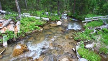 büyük çadır creek Wyoming