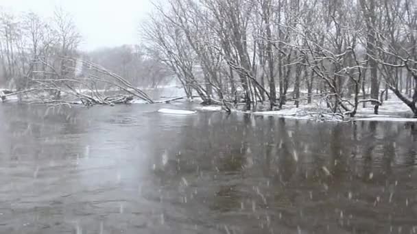 Escena de invierno del río Kishwaukee — Vídeos de Stock