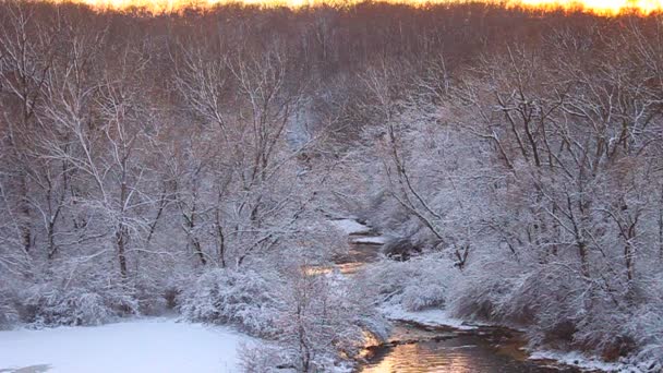 Salgueiro Creek Cena de Inverno Illinois — Vídeo de Stock