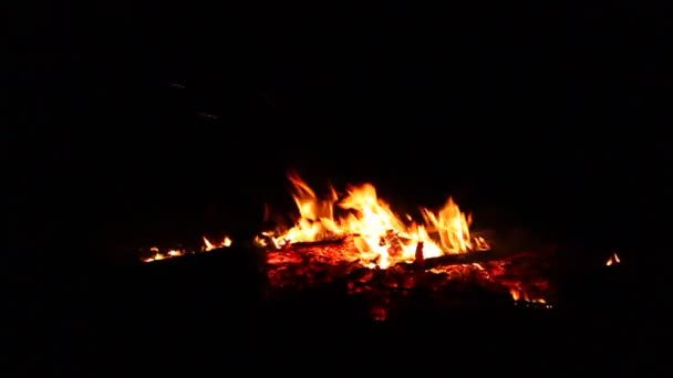 Feu de camp nocturne — Video