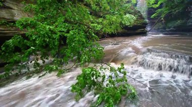 Matthiessen State Park Cascade Illinois