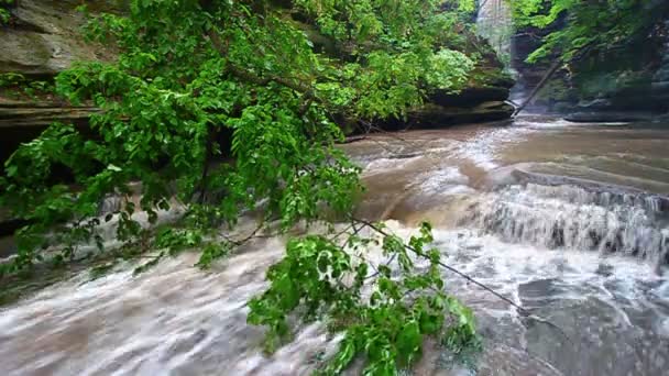 Matthiessen Parque Estadual cascata illinois — Vídeo de Stock