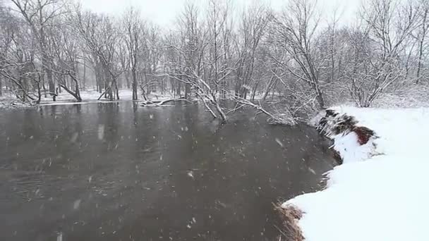 Зимняя сцена на реке Кишуоки — стоковое видео