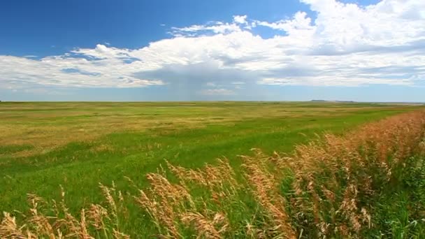 Dakota del Sur paisaje de la pradera — Vídeos de Stock