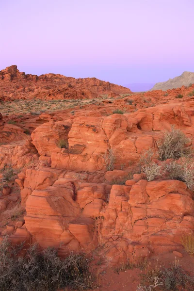 Valley of Fire State Park - Nevada — kuvapankkivalokuva