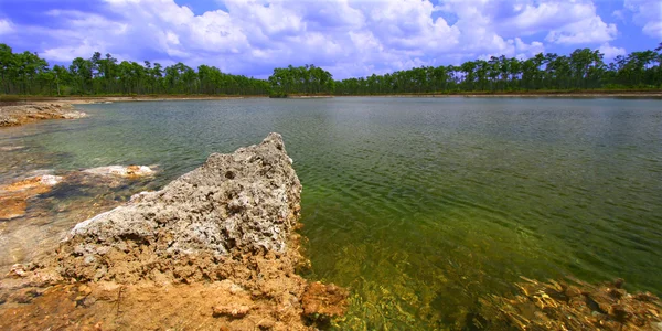 Everglades Nemzeti park, Amerikai Egyesült Államok — Stock Fotó