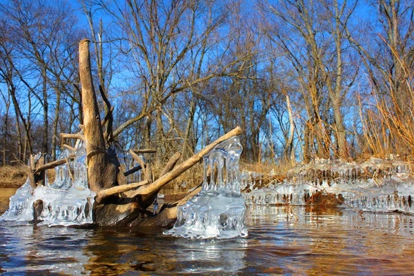 Río Kishwaukee invierno Illinois —  Fotos de Stock