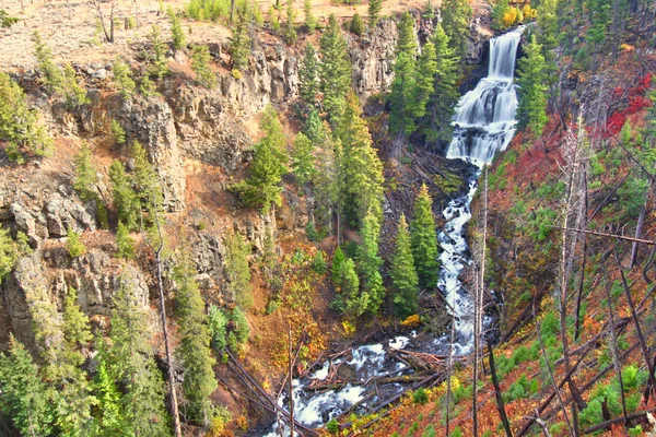 UNDINE πέφτει εθνικό πάρκο yellowstone — Φωτογραφία Αρχείου