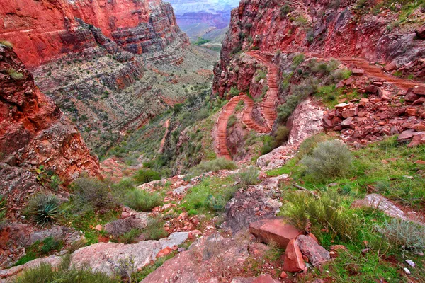 Bright Angel Trail Grand Canyon — Stock Photo, Image