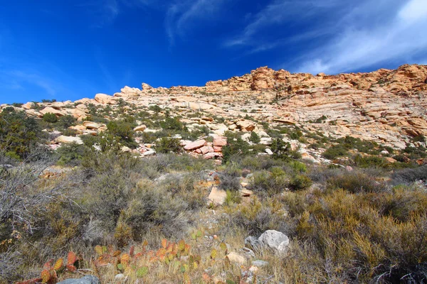 Red Rock Canyon nemzeti természetvédelmi terület — Stock Fotó