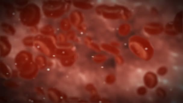Czerwone ciałka krwi wewnątrz tętnicy — Stockvideo