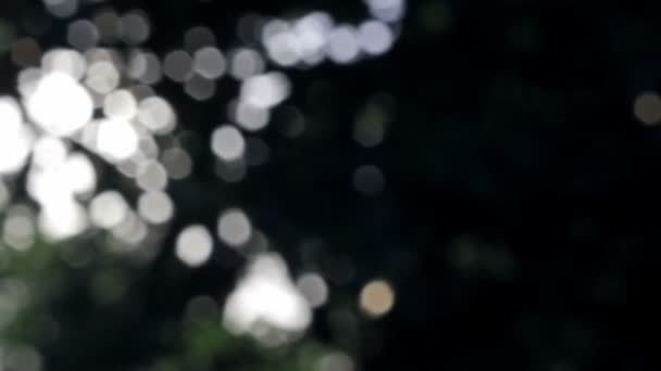 Strom rozostření bokeh — Stock video