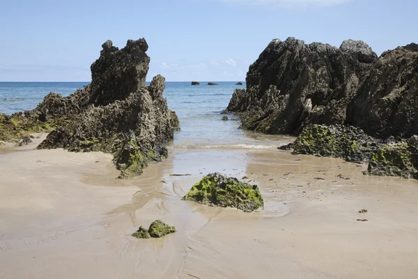 Low tide — Stock Photo, Image