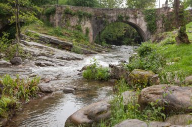 Nehrin üzerindeki köprü