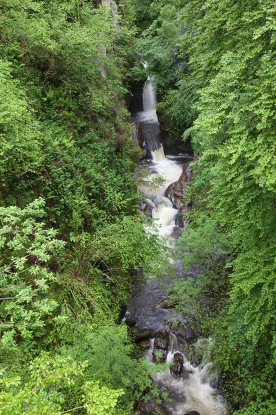 Cachoeira — Fotografia de Stock