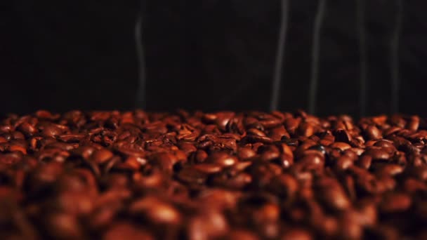 Coffee — Stock Video