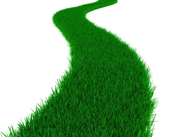 Grass road — Stock Photo, Image