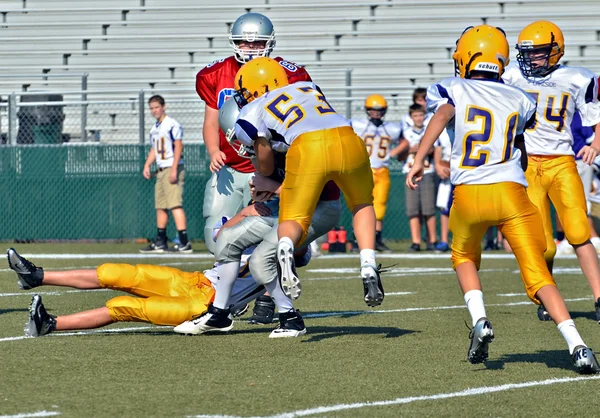 Flying Tackle — Stock Photo, Image