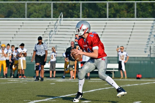 Quarterback klaar om te gooien — Stockfoto