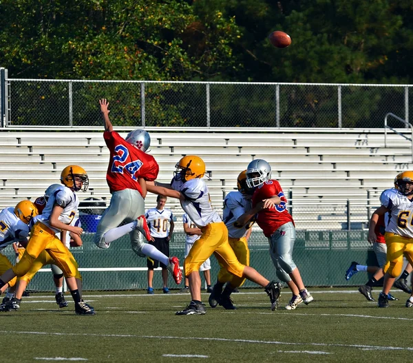Jumping to Block a Pass — Stock Photo, Image